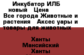 Инкубатор ИЛБ-0,5 новый › Цена ­ 35 000 - Все города Животные и растения » Аксесcуары и товары для животных   . Ханты-Мансийский,Ханты-Мансийск г.